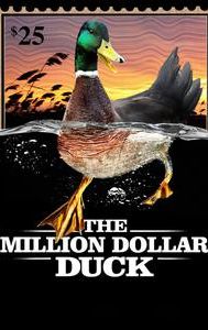 The Million Dollar Duck