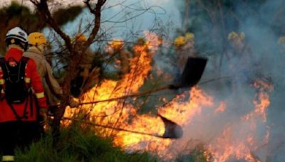 Onda de frio de julho influenciou as queimadas no Pantanal