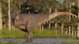 Newly discovered dino had even tinier arms than T. rex | Fox 11 Tri Cities Fox 41 Yakima