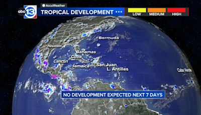 No development expected over the next 7 days, August should become more active