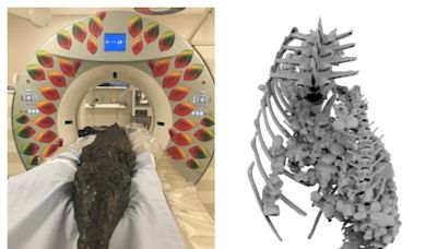 Deadly last meal of mysterious ancient Egyptian mummified croc revealed