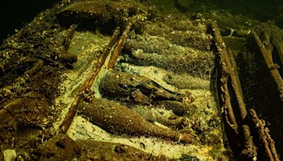 Divers found cases of 150-year-old sparkling wine in a shipwreck off the coast of Sweden — and it might still be drinkable