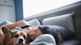 Should you let your dog sleep in your bed with you? Here's what trainers say