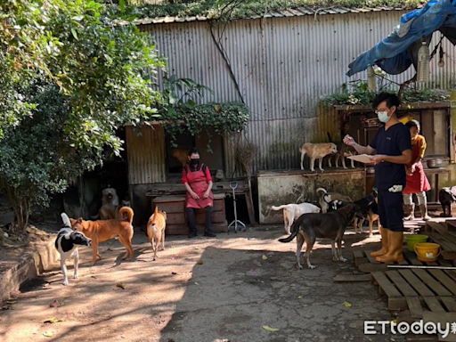 有線電視系統捐贈35包飼料！幫助三峽民間收容所「流浪動物加菜」