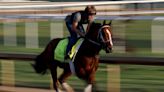 Kentucky Derby 2024 Horses: Contenders and Race-Day Overview for Entire Field