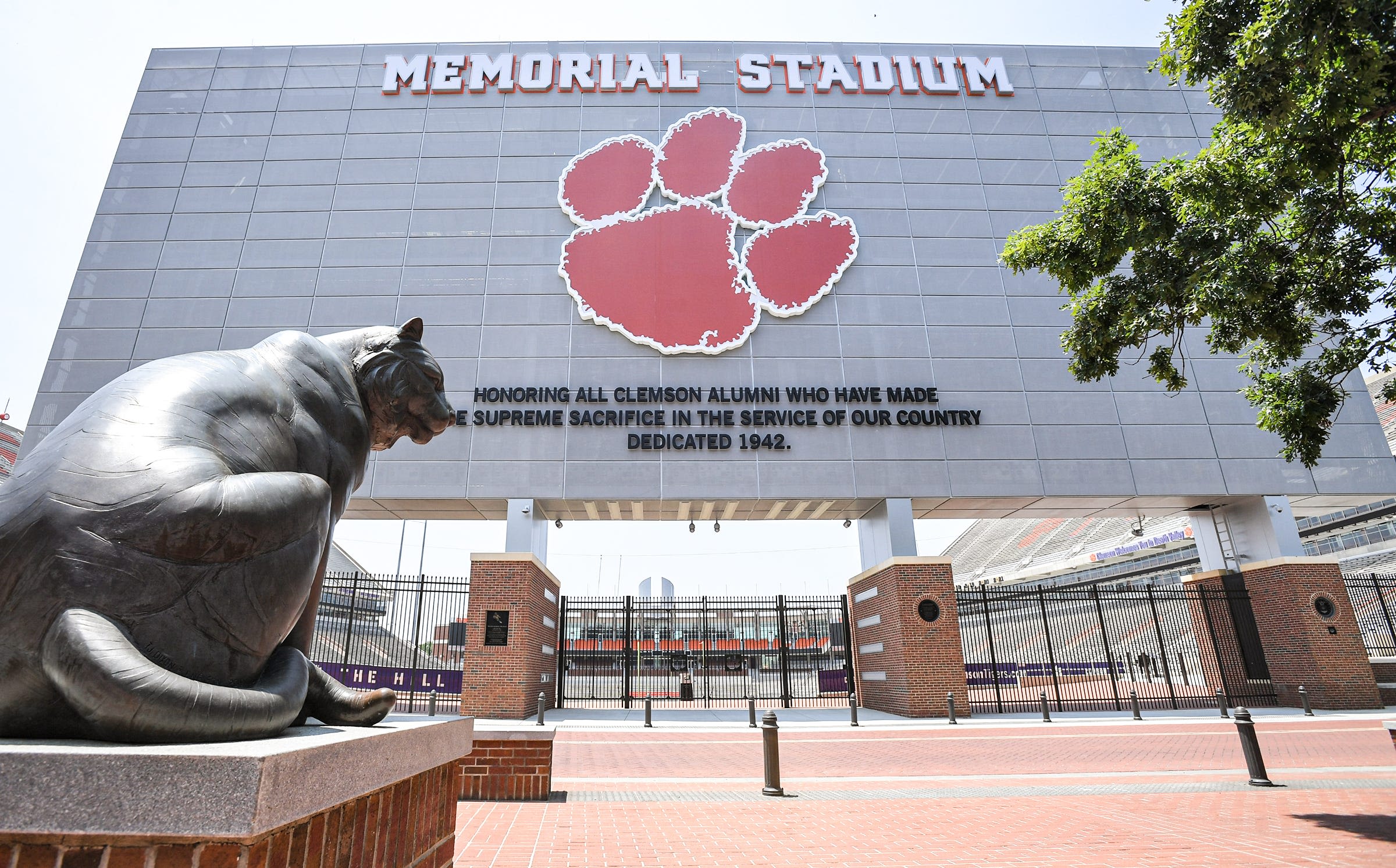 Carolina Panthers returning to Clemson for practice, fan fest