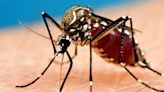 Mosquito season under way in Kansas