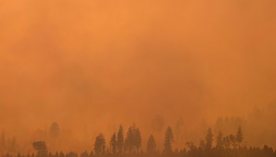 California y Canadá luchan contra incendios forestales sin control con miles de evacuados