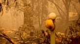 California registra su incendio más grande de 2022