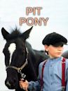 Pit Pony