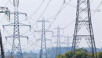 Call for help in campaign against National Grid’s Walpole plans