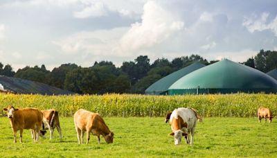 Cavan and Monaghan identified as ideal sources of feedstocks for AD