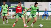 Palmeiras x Atlético-GO - Verdão de olho na liderança do Brasileirão