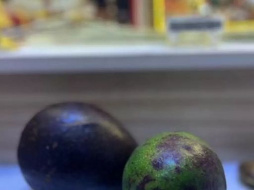 'Offering To God Upgraded To Avocados': Bengaluru Man’s Pooja Ritual Has the Internet Talking