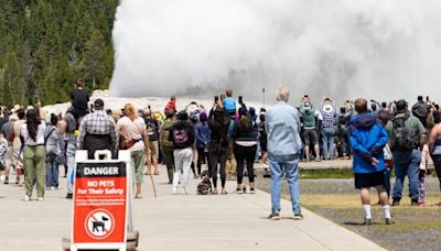 Yellowstone's first 6 months a new record for visitation