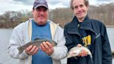 Dave Monti: NOAA says recreational fishing up 22 percent