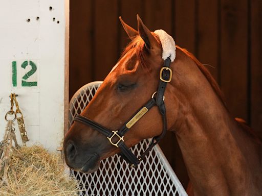 Tapit Jeanallie out of Kentucky Oaks 2024; Our Pretty Woman in field at Churchill Downs