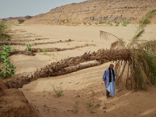 Cambio climático: la Inteligencia Artificial, una promesa convertida en amenaza | Alarmas sobre el impacto ambiental de la nueva tecnología