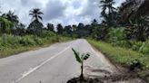 Malaysia man’s viral stunt of planting banana tree in pothole gets road repaired within hours