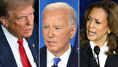 Donald Trump Slams Kamala Harris, Joe Biden In "Dark Speech"