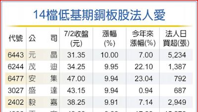 資金避風港 正文、元晶等14檔低基期銅板股法人買