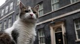 UK PM Keir Starmer gets ‘important business’ note from Larry the Cat, Downing Street’s feline ‘official resident’ | Today News