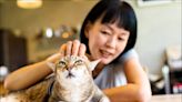 寵物餐廳擼貓 感染黴菌長膿疱 - 自由健康網