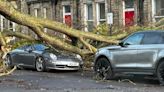 Homes face 48 hours without power after Storm Otto hits UK