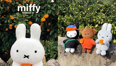 Miffy 粉絲趕快計劃一趟濟州島旅行：在這間路邊小店，可以找到超特別「海女版」公仔！