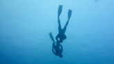 Why I Consider Free Diving To Be Underwater Yoga