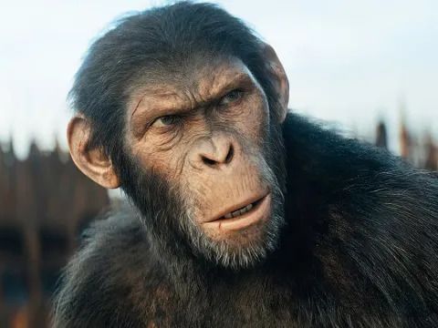 Kingdom of the Planet of the Apes Box Office Starts Strong Ahead of Weekend