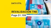 Pase escolar 2024: ¿Dónde se pagan los $1.100 para revalidar la TNE en la educación superior?