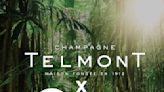 天夢香檳Champagne Telmont攜手李奧納多支持re:wild全球環保計劃