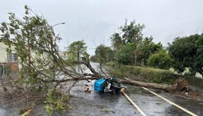 彰化大雨郵差值勤遭路樹砸死 中華郵政：爭取從優撫卹