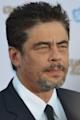 Benicio del Toro