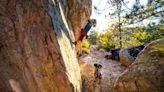 Five Gear Essentials For Crag Dogs