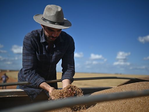 La cosecha brasileña de granos encogerá este año un 6,2 %