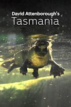 David Attenborough's Tasmania (2018) - Posters — The Movie Database (TMDB)