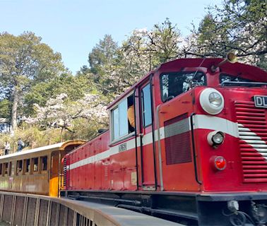 小團國旅旅行社推薦，嘉義阿里山行程獲好評