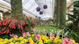 Let's Grow: A winter visit to Longwood Gardens