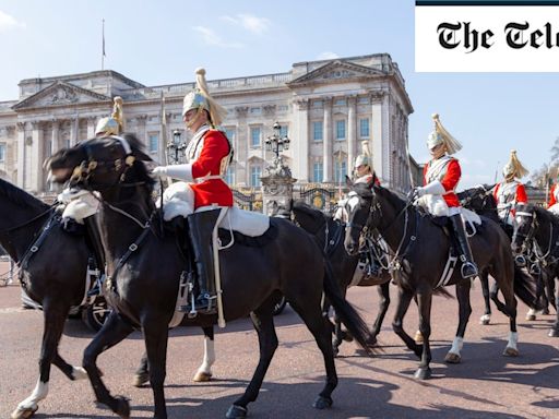 Woman headbutted by King’s Guard horse falls to floor