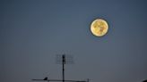 Harvest moon 2023, the last supermoon of the year, kicks off fall stargazing on Sept. 29