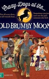 Crazy Days at the old Brumby Moon