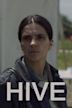 Hive (film)