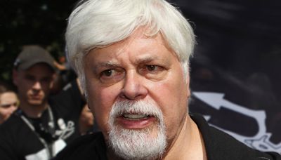 'Whale Wars' Star and Activist Paul Watson Arrested in Greenland