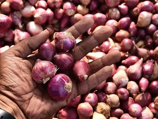 Onion supply comfortable in domestic market, retail prices stabilising: Govt - The Economic Times