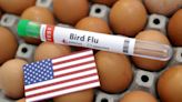 擔心禽流感疫情升溫 美多檔疫苗股漲幅飆兩位數