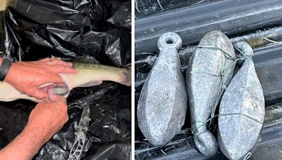 Louisiana Man Arrested After Stuffing 2.5 Pounds of Lead Weights into Bass at Fishing Tourney