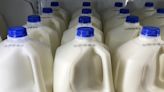 B.C. to increase local milk production with $25-million factory investment