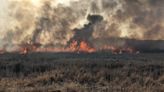 100-acre fire in town of Necedah was one of many wildfires in Wisconsin Wednesday; another Red Flag Warning issued